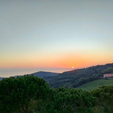 Vista Sulle Isole Dell'Arcipelago Toscano Nibbiaia Oda fotoğraf